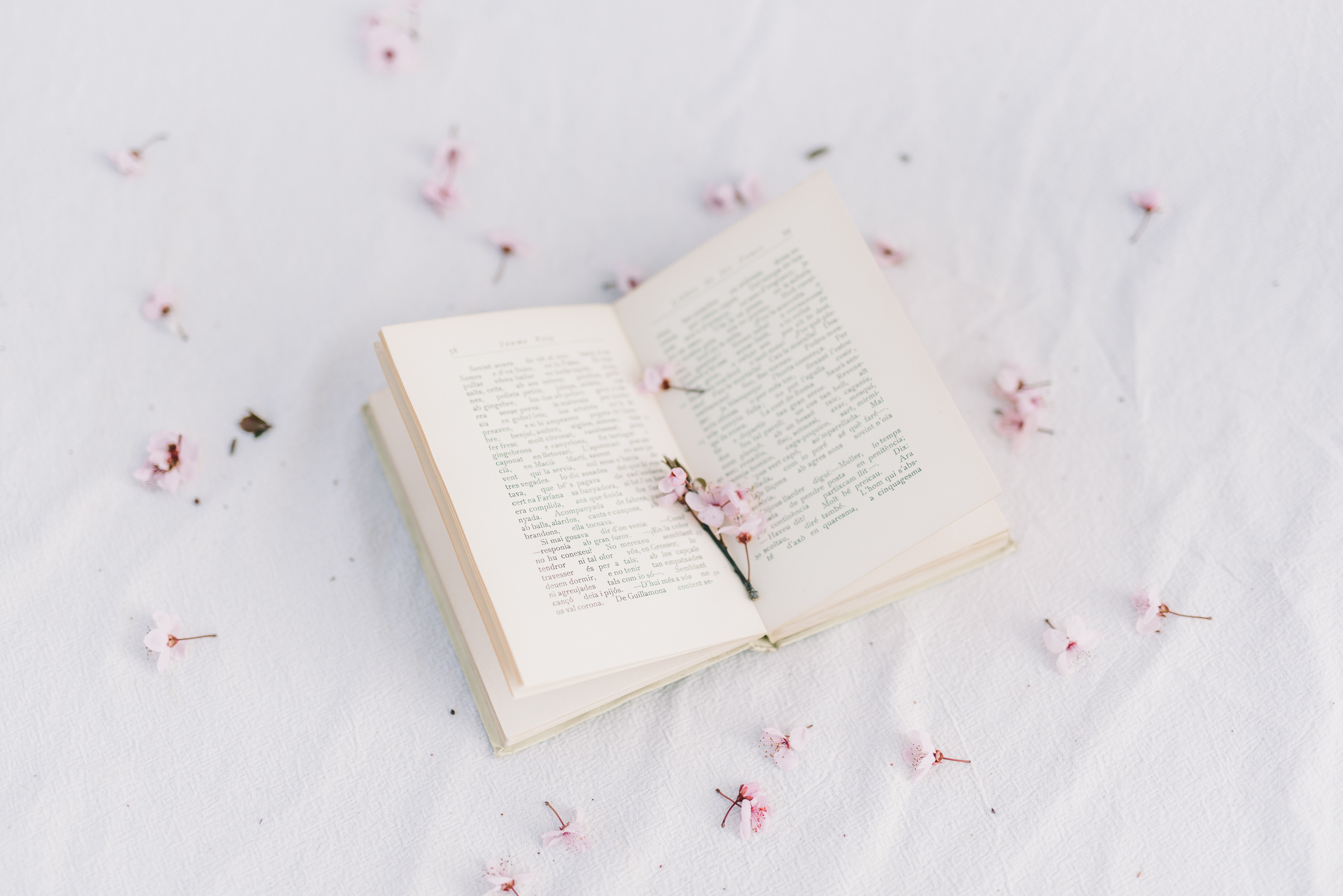 High Angle Shot of an Open Book